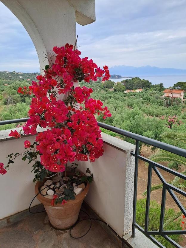 Villa Mariana Koróni エクステリア 写真