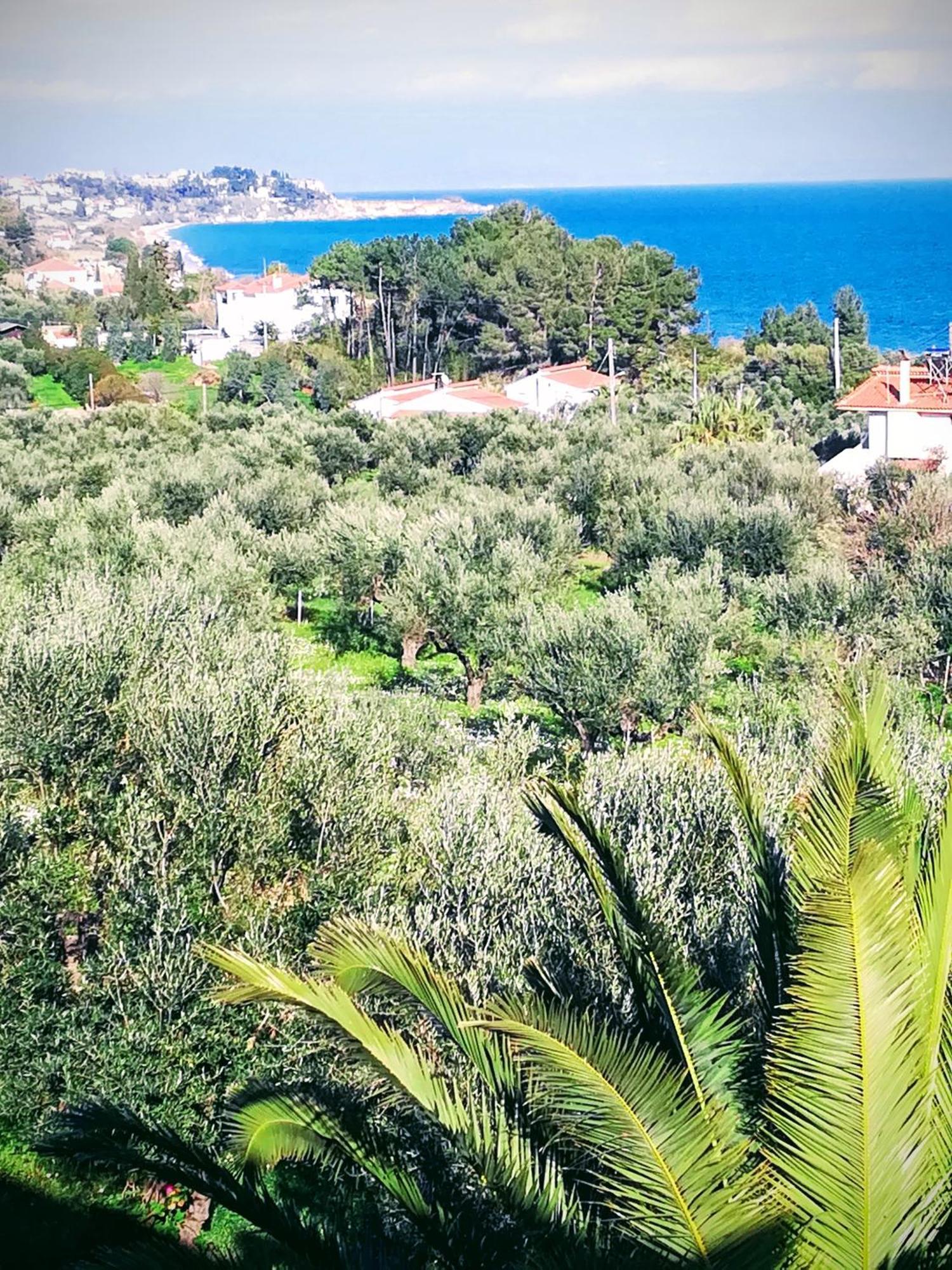 Villa Mariana Koróni エクステリア 写真