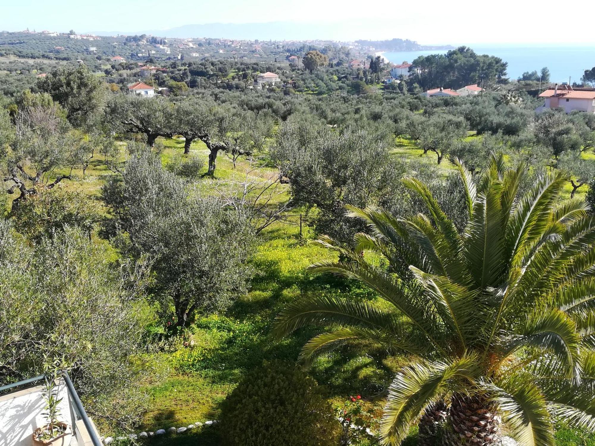 Villa Mariana Koróni エクステリア 写真