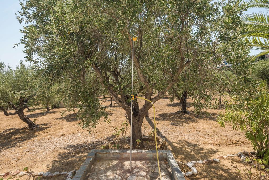 Villa Mariana Koróni エクステリア 写真